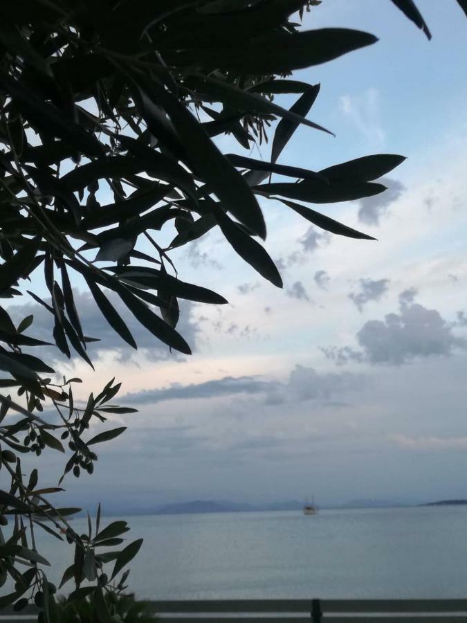 Stami's Seaside